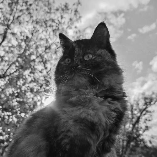 Photo #8207825