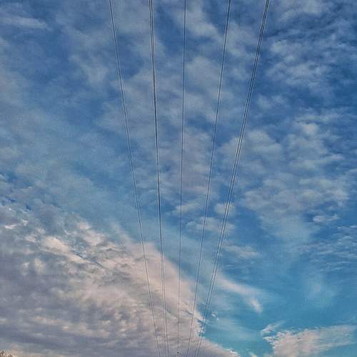 Photo #8207926