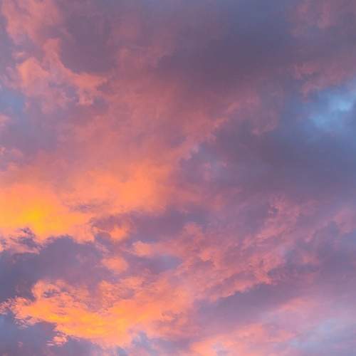 Photo #8207999