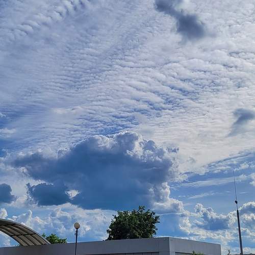 Photo #8208006
