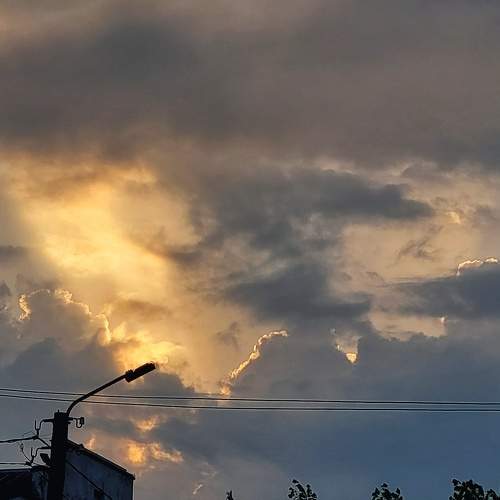 Photo #8208013