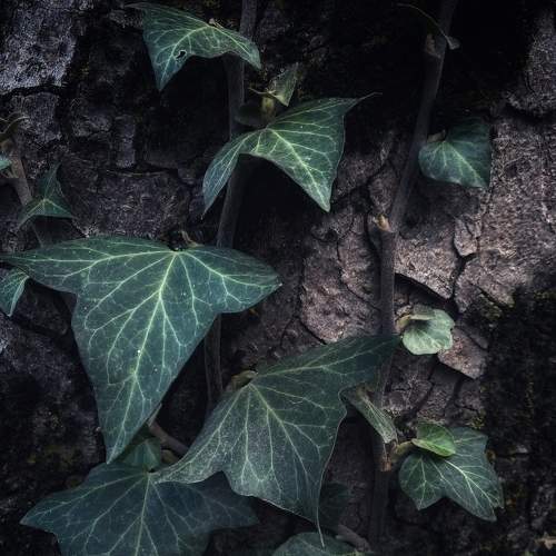 Photo #8208034