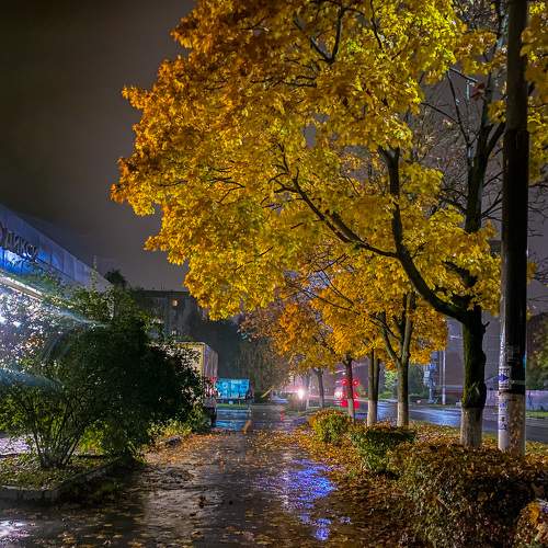 Photo #8208071