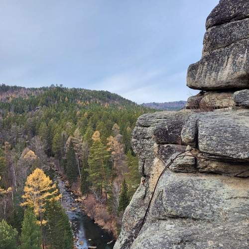 Photo #8208259