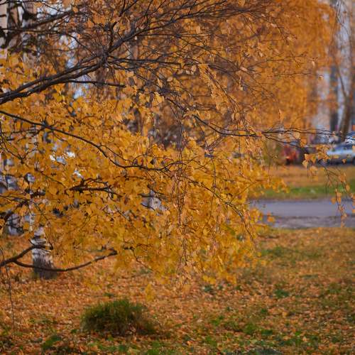 Photo #8208283