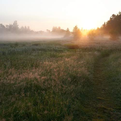 Photo #8208713