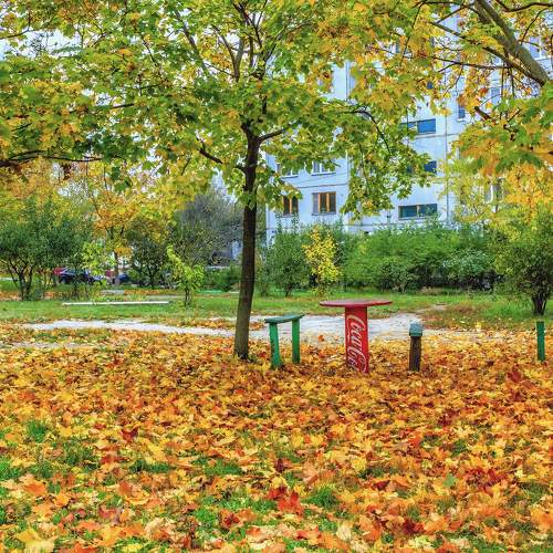 Во дворе осень..