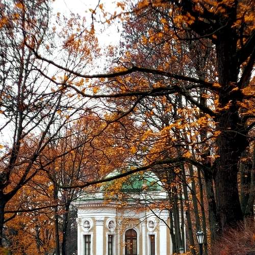 Photo #8209324