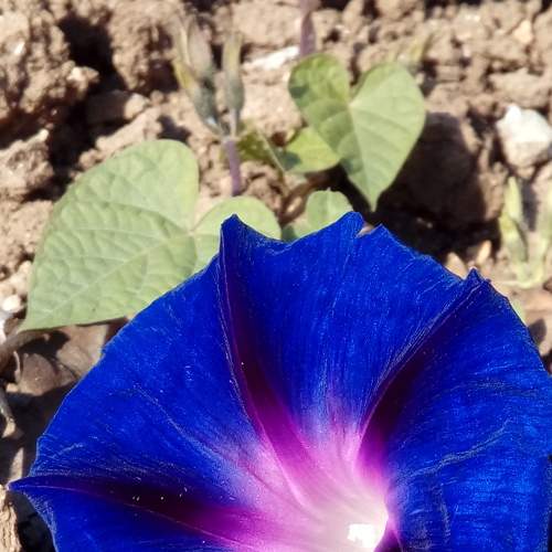 Photo #8209344