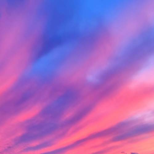 Photo #8209650