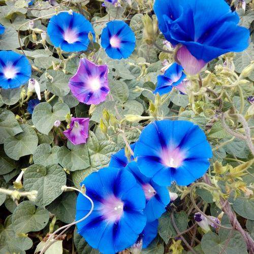 Photo #8209658