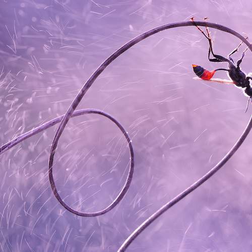 Between sparks of water