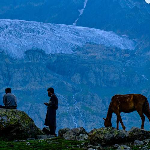 Photo #8210217