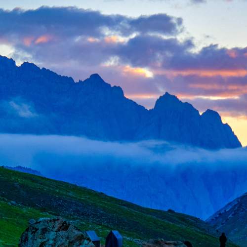 Photo #8210219