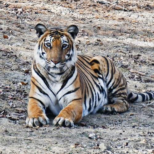 Photo #8210352