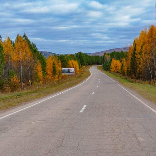 Photo #8210365