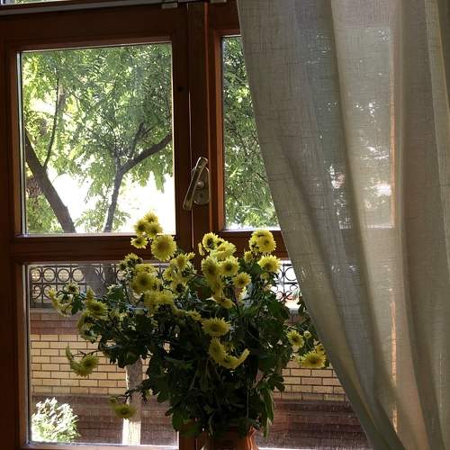 Photo #8211048