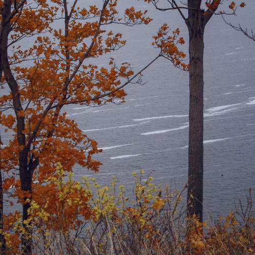 Photo #8211553