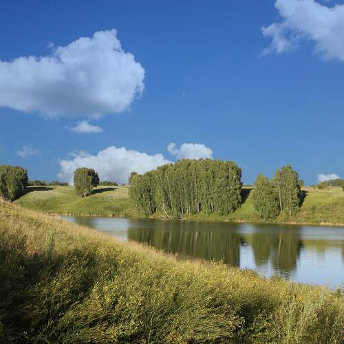 Photo #8211591