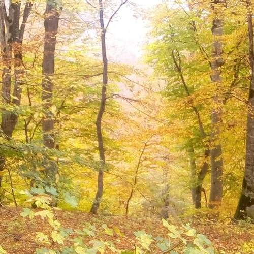 Photo #8211593