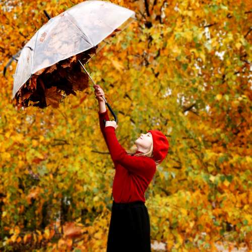 Photo #8211635
