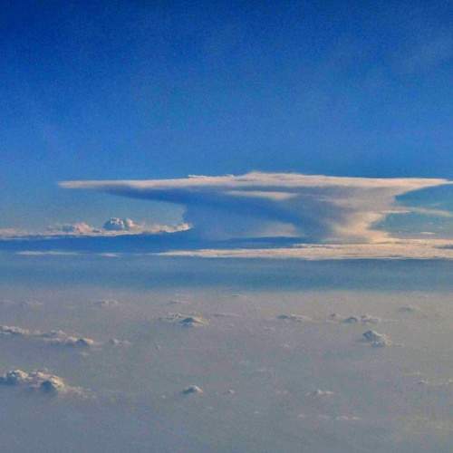 Photo #8211638