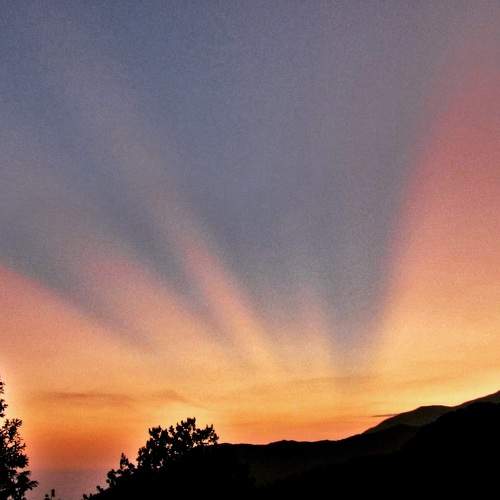 Photo #8211639
