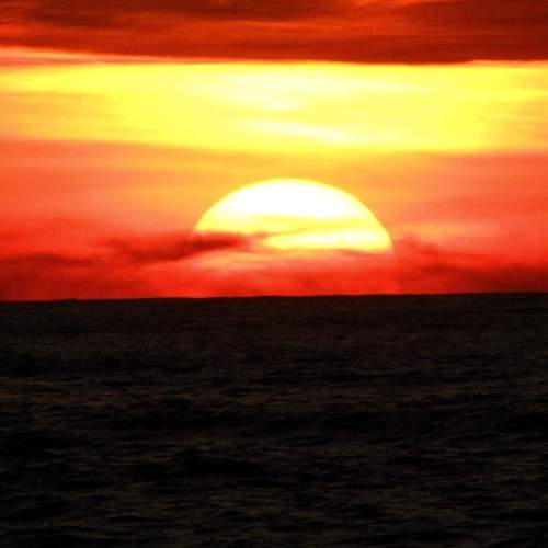 Photo #8211642