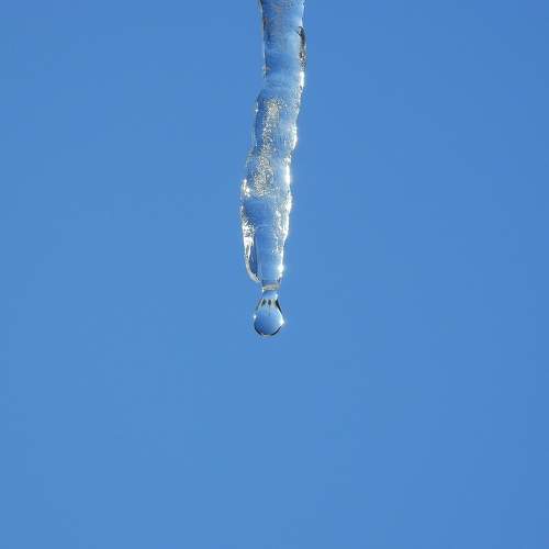 Photo #8211743