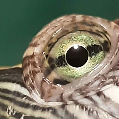 Photo #8212101
