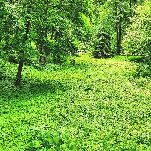 Photo #8212133