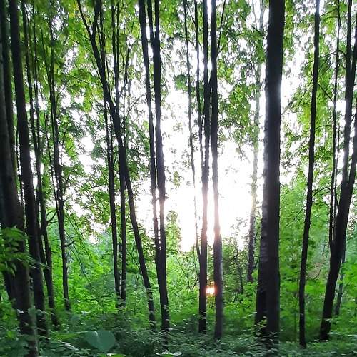 Photo #8212343
