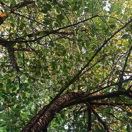 Photo #8212383