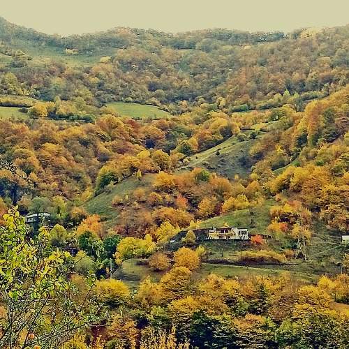 Photo #8212472