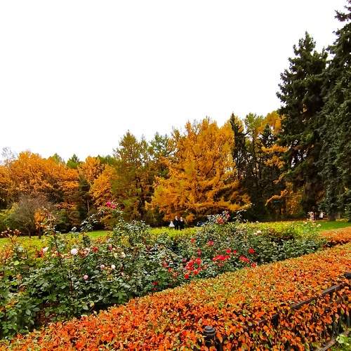 Photo #8212530