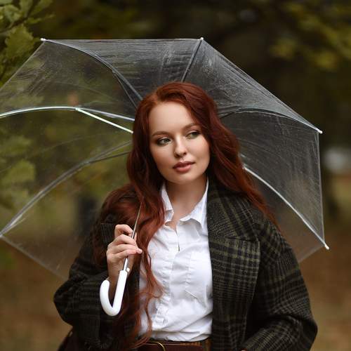 Photo #8212694