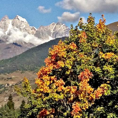 Photo #8212789