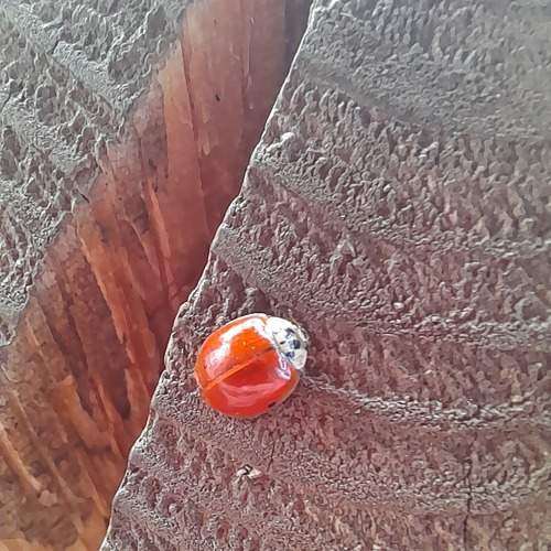 Photo #8213188