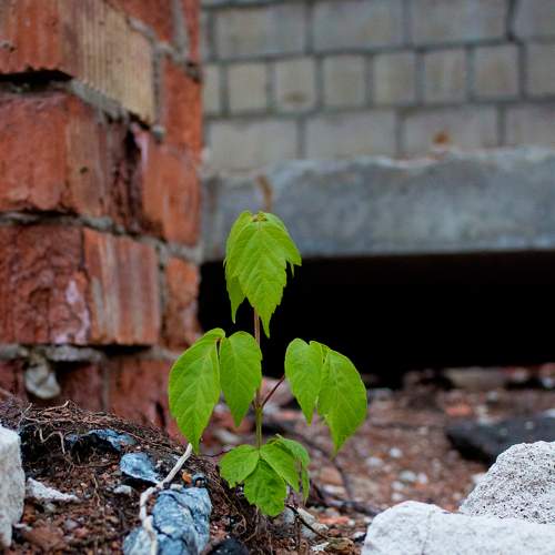 Photo #8213359