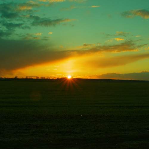 Photo #8213364