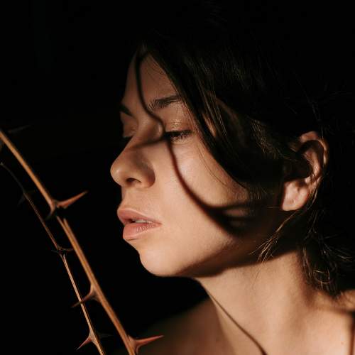 Photo #8213379