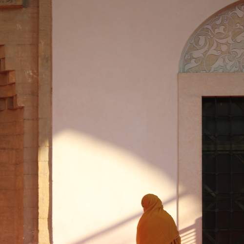 Photo #8213499