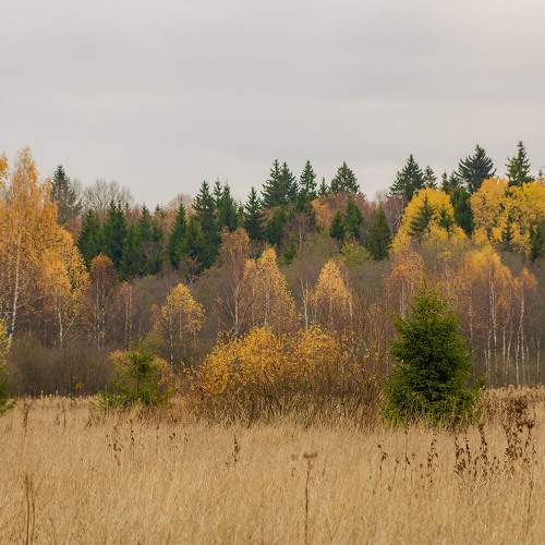 Photo #8214245