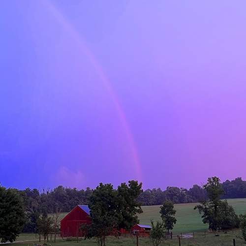 Photo #8214827
