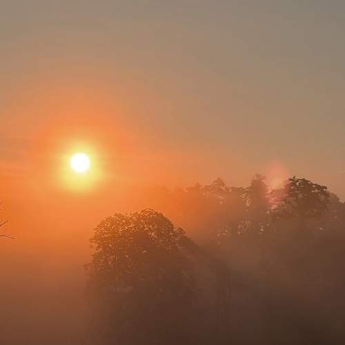 Photo #8214869