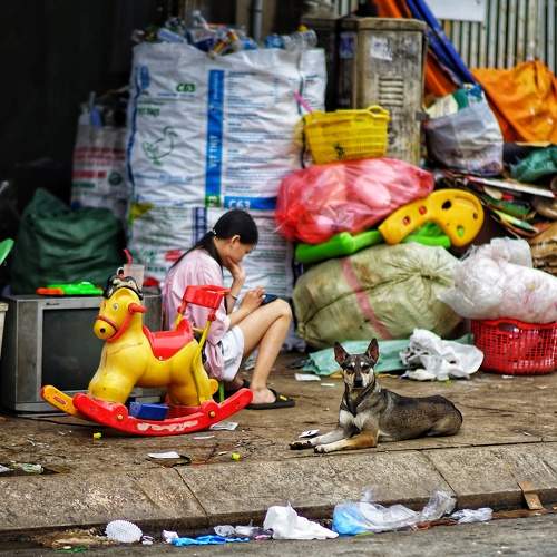 Photo #8215267