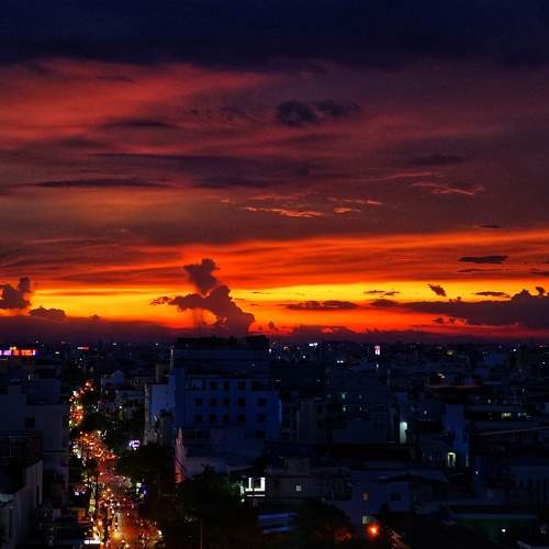Photo #8215274