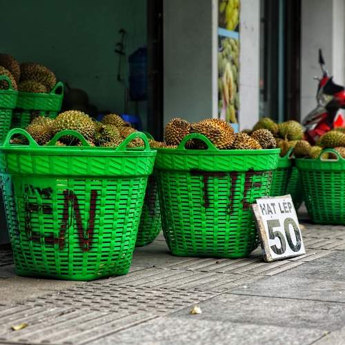 Photo #8215283