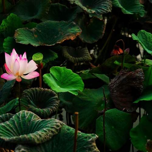 Photo #8215291
