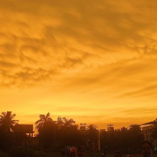Photo #8215805